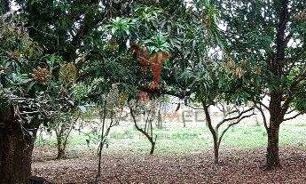 Imagem: Rural 2 dormitórios 32000m² 3 vagas Residencial