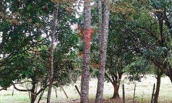 Imagem 5: Rural 2 dormitórios 32000m² 3 vagas Residencial Village Santana Guaratingueta/SP