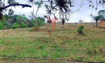 Imagem 6: Rural 2 dormitórios 32000m² 3 vagas Residencial Village Santana Guaratingueta/SP