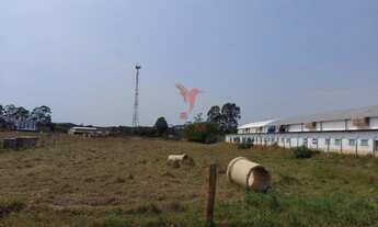 Imagem 2: Terreno 4982m² Paineiras Avare/SP