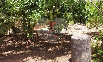 Imagem 5: Chácara Residencial Área Rural de Lençóis