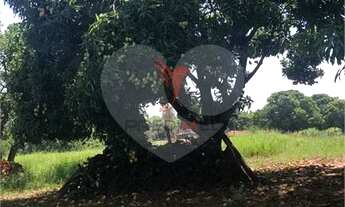 Imagem 2: Sítio Residencial Área Rural de Lençóis Paulista