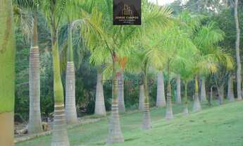 Imagem: CH-2447 - CHÁCARA Á VENDA NO GUAMIRIM