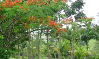 Imagem 6: CH-2447 - CHÁCARA Á VENDA NO GUAMIRIM EM CAÇAPAVA/SP