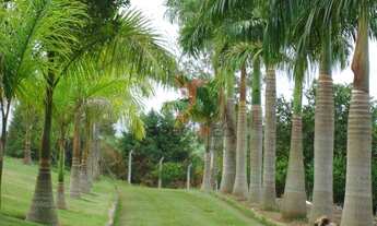 Imagem 2: CH-2447 - CHÁCARA Á VENDA NO GUAMIRIM EM CAÇAPAVA/SP