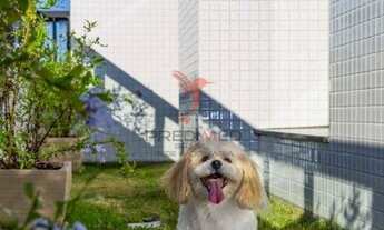 Imagem 7: Áster Residence Apartamentos 2 Quartos 1 suíte Bairro Kobrasol 72m² São Jose SC