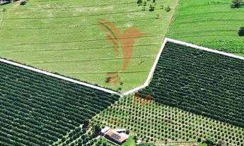 Imagem 7: CHÁCARA EM URUPÊS SP, apenas a 30 minutos de São José do Rio Preto