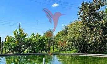 Imagem 2: CHÁCARA EM URUPÊS SP, apenas a 30 minutos de São José do Rio Preto