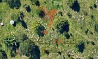 Imagem 7: Fazenda / Sítio / Chácara com 6 Quartos à venda, 19857m² - Cachoeira do Bom Jesus Floripa