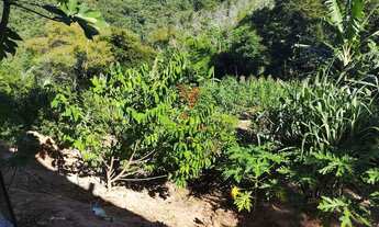 Imagem 3: CH - 24110 - CHÁCARA EM CAÇAPAVA COM 4 QUARTOS