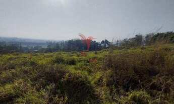 Imagem: Chácara na Colónia com 1100 mts2