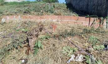 Imagem: 334M² de Área Total