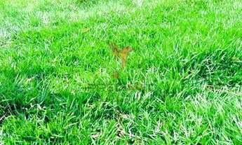 Imagem 5: Vendo sítio com 8,47 alqueires no asfalto, Piracicaba - SP