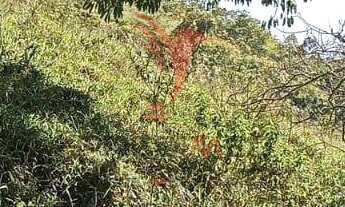 Imagem 5: Propriedade rural no bairro do Fogueteiro, com 66 Hectares