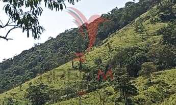 Imagem 2: Propriedade rural no bairro do Fogueteiro, com 66 Hectares