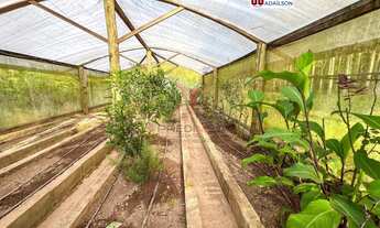 Imagem 7: Sobre chácara com 6.000 m² à venda em Camboriú - SC Brasil