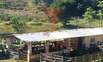 Imagem 4: Chácara com quase 5 Alqueires, Pastagem, dois lagos, capela,no bairro Rio do Peixe