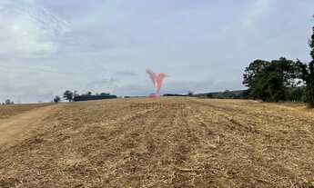 Imagem 3: Vendo excelente Fazenda com 70 alqueires ,no Alto da Serra, Brotas - SP