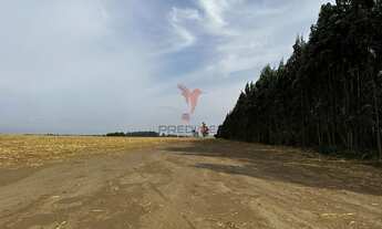 Imagem 2: Vendo excelente Fazenda com 70 alqueires ,no Alto da Serra, Brotas - SP