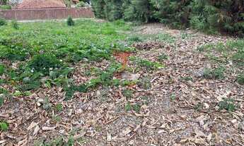 Imagem: 800M² de Área Total