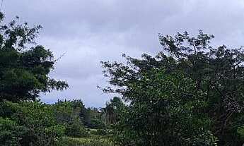 Imagem 6: Terreno de 155.876m² à Venda na Praia da Tereza