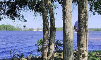 Imagem 7: Fazenda à Venda em Jaguaruna, SC - 485,9 Hectares