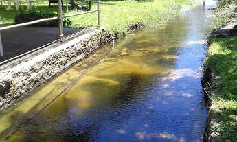 Imagem 4: Fazenda à Venda em Jaguaruna, SC - 485,9 Hectares