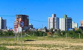 Imagem 3: Terreno de 2.112m² à Venda na Avenida Pedro Zapelini