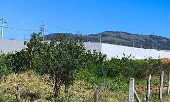 Imagem 6: Terreno de 2.112m² à Venda na Avenida Pedro Zapelini