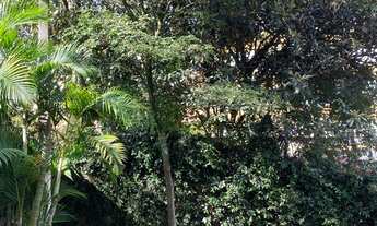 Imagem 6: Terreno a Venda no bairro Jardim Lajeado - São Paulo, SP