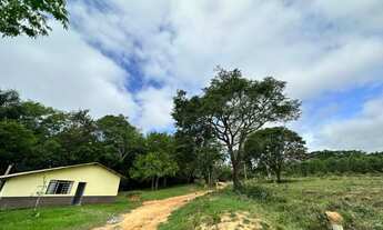 Imagem 2: SITIO A VENDA EM ITAPETININGA - SP 7.5 ALQUEIRES PAULISTA