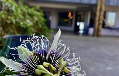 Imagem 3: SITIO/CHACARA DE ALTO PADRÃO VENDA EM CAMPO LIMPO PAULISTA