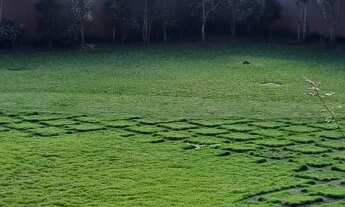 Imagem 5: Sobrado Alto Padrão Bairro Glória