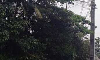 Imagem 6: Terreno Industrial em Joinville