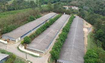 Imagem 3: Rural a Venda no bairro Boa Vista dos Silva - Bragança Paulista, SP