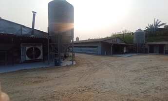 Imagem 6: Rural a Venda no bairro Boa Vista dos Silva - Bragança Paulista, SP