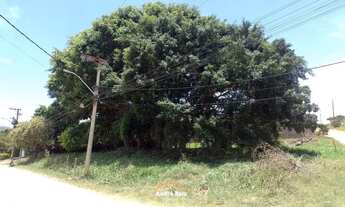 Imagem 4: Terreno para Venda em Saquarema, Leigos