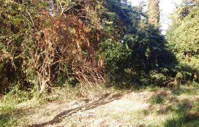 Imagem 6: Lote/Terreno no Caminhos de San Conrado, Campinas