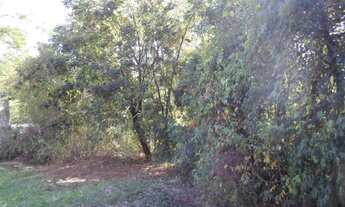 Imagem 2: Lote/Terreno no Caminhos de San Conrado, Campinas