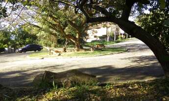 Imagem 6: Lote/Terreno no Caminhos de San Conrado, Campinas