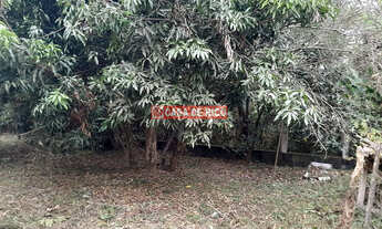 Imagem 6: Figueira, PR, 4 dormitórios, 1 suítes, 2 banheiro, 2 vagas na garagem, 127M² de Área Const