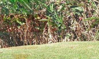 Imagem 2: Casa a venda, chácaras cataguá, Taubaté SP