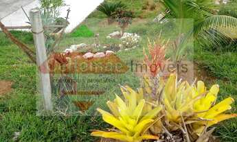 Imagem 4: Venda Sítio em Zona Rural de Taubaté com Lago e Árvores Frutíferas