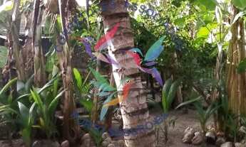 Imagem 3: TERRENO NA PRAIA DE TAPERAPUAN