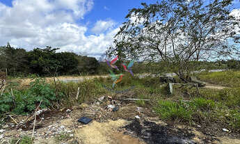 Imagem 5: TERRENO NO ANEL VIÁRIO