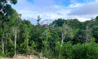 Imagem 3: TERRENO NO GAUDÍ