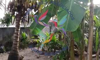 Imagem 2: TERRENO NA PRAIA DE TAPERAPUAN