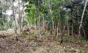 Imagem 7: ÁREA DE 9.000 M2 EM SAPIRARA