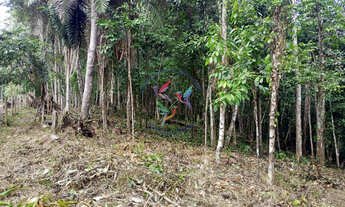 Imagem 4: ÁREA DE 9.000 M2 EM SAPIRARA