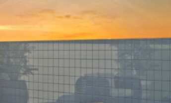 Imagem 4: Apartamento 02 Qtos em Campo Grande, Prox. Estrada de Belém